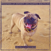 Whispers of Infinity: Enchanted Emotions