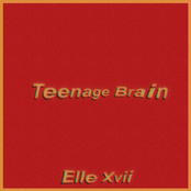 Teenage Brain