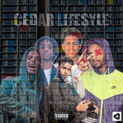 Cedar Lifestyle