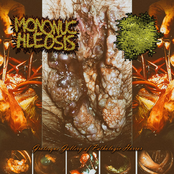 Grotesque Gallery Of Pathologic Horror