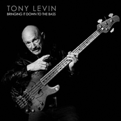 Tony Levin: Bringing It Down to the Bass