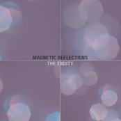 Magnetic Reflections