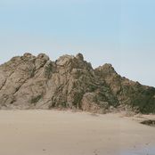 paper blown between the spaces in my ribs