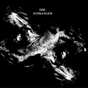 Fatalist Flaw by The Estranged