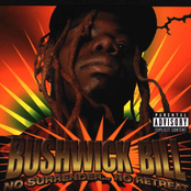 Stand By Me by Bushwick Bill