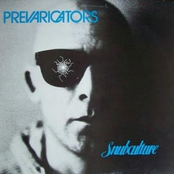 Sex Machine by The Prevaricators