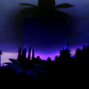 Blooming of the Stars (Act II)