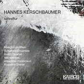 Hannes Kerschbaumer: Schraffur & Other Works