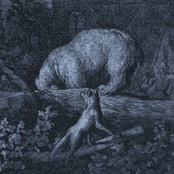 Black Bear Market