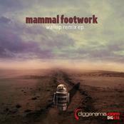 mammal footwork