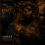 Amber - Momentum Grotesque