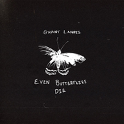 Even Butterflies Die