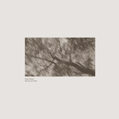 Birds are my Friends