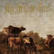 2025-08-02 Rapid Skate Shop, Los Angeles