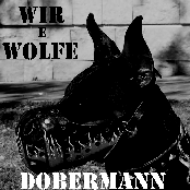 Dobermann