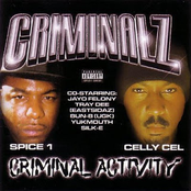 Criminal Activity
