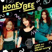 Honey Bee - Single