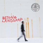 Betonglandskap Artwork