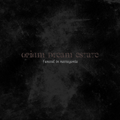 The Day My Wish Was Gone by Opium Dream Estate