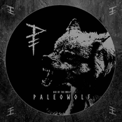 Age of the Wolf (compilation)