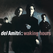 Opposite View by Del Amitri