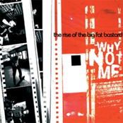 The rise of the big fat bastard