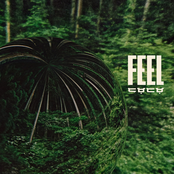 Feel