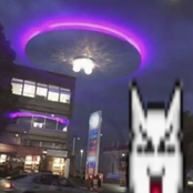 overtonight: shotgun.