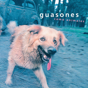 No Quiero by Guasones