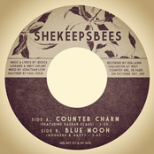 She Keeps Bees: Skb-007 7