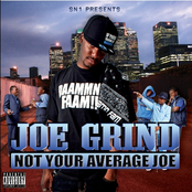 Not Your Average Joe