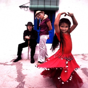 CATHY CLARET (gypsy flower)