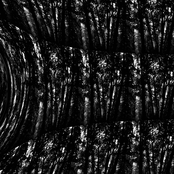 The Expression of Death