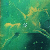 Wasp In The Silver Orbistream