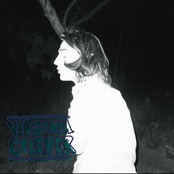 greek: VIRGINIA CREEPER