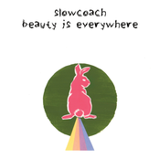 Beauty is Everywhere