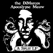 Split LP with Apocalypse Meow