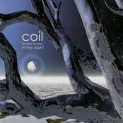 Tiny Golden Books by Coil