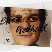 Flying Douglas by Blonde Redhead