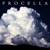 Procella