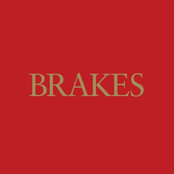 I Can't Stand To Stand Beside You by Brakes