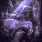 Intravenous French Kiss