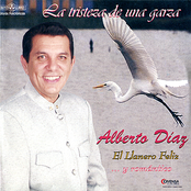 La Tristeza de una Garza