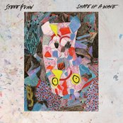 Shape of a Wave by Steve Gunn
