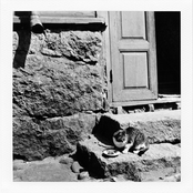 From the Willowmeadow III