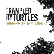 Trampled by Turtles: Where Is My Mind?