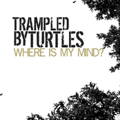 Where Is My Mind? by Trampled By Turtles