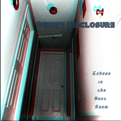 Sunset Disclosure: Echoes in the Next Room
