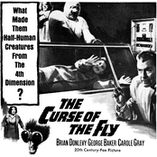 Curse Of The Fly
