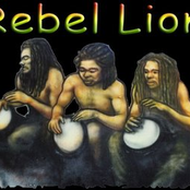 Rebel Lion